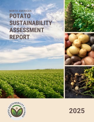 Cover_2025 PSA OFA Sustainability Report-1